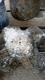 stcronans 2645.jpg